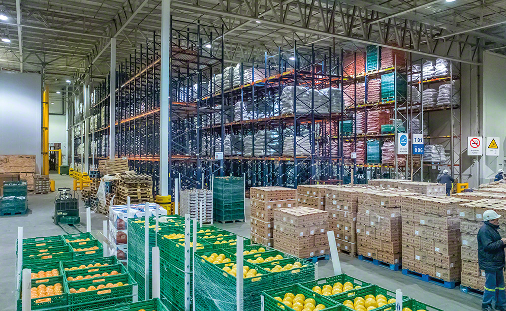 The fresh fruit warehouse of Coto in Nueve de Abril (Argentina)